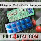 Utilisation De La Gelée Kamagra new02
